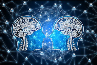 开云体育入口-篮球专项技能动作视频资源开发及多媒体教学，篮球动作技术