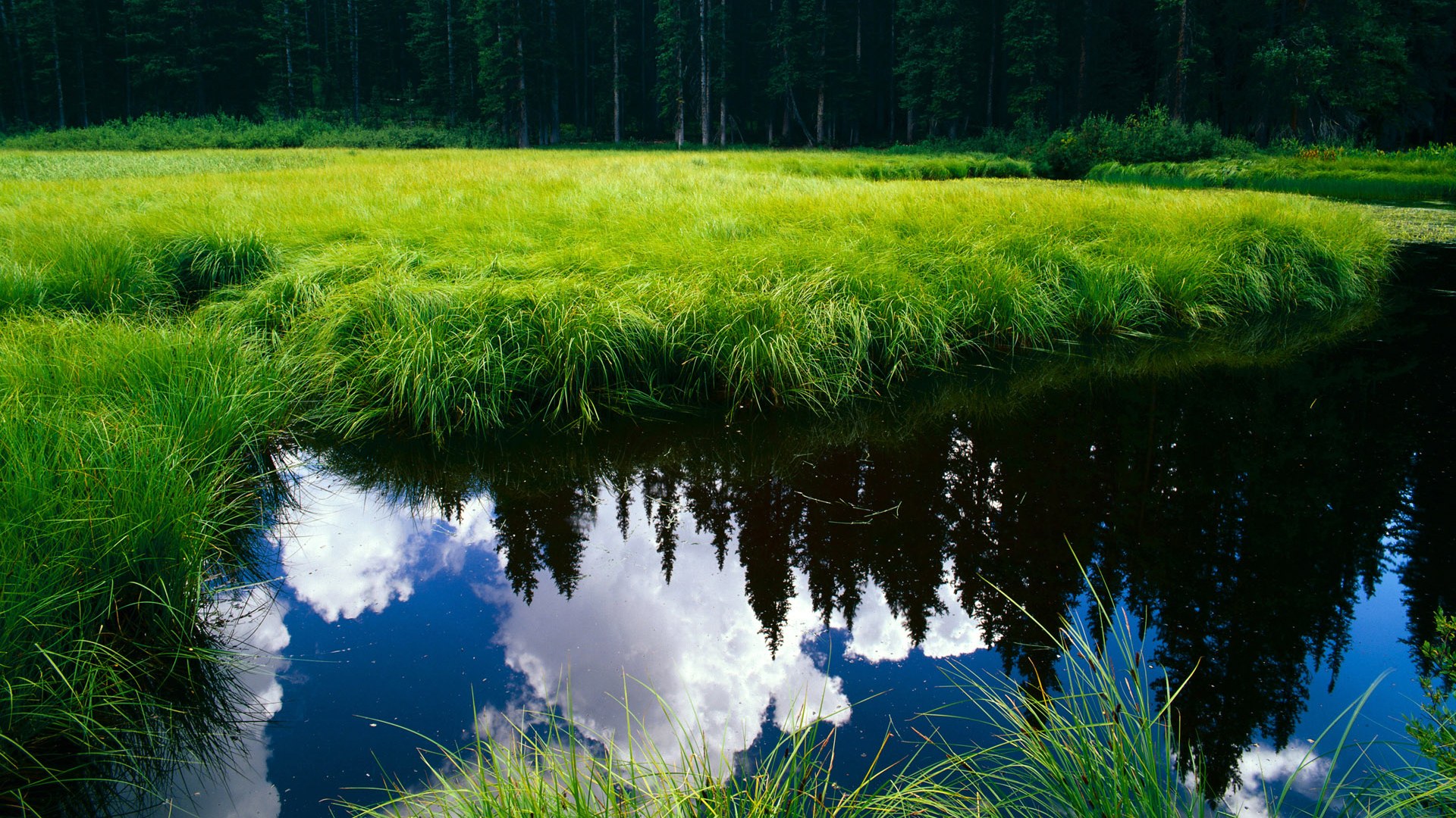 开云体育在线入口-中国三人篮球男队注重细节训练,中国男篮三人篮球队员是谁