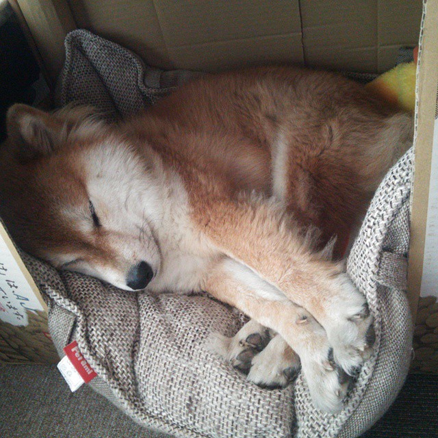 开云官网-决赛红牌事件引发广泛争议，红牌对比赛的影响