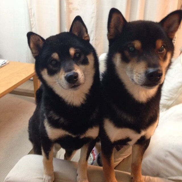 开云在线入口-城市马拉松环保成绩纳入主办方考核，城市马拉松方案