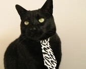 开yun官网-本菲卡中场新星表现出色，引发关注，本菲卡比赛视频