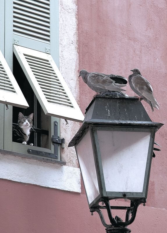 开云体育网站-足球裁判公开课讲解最新规则变化，足球裁判教学视频全套