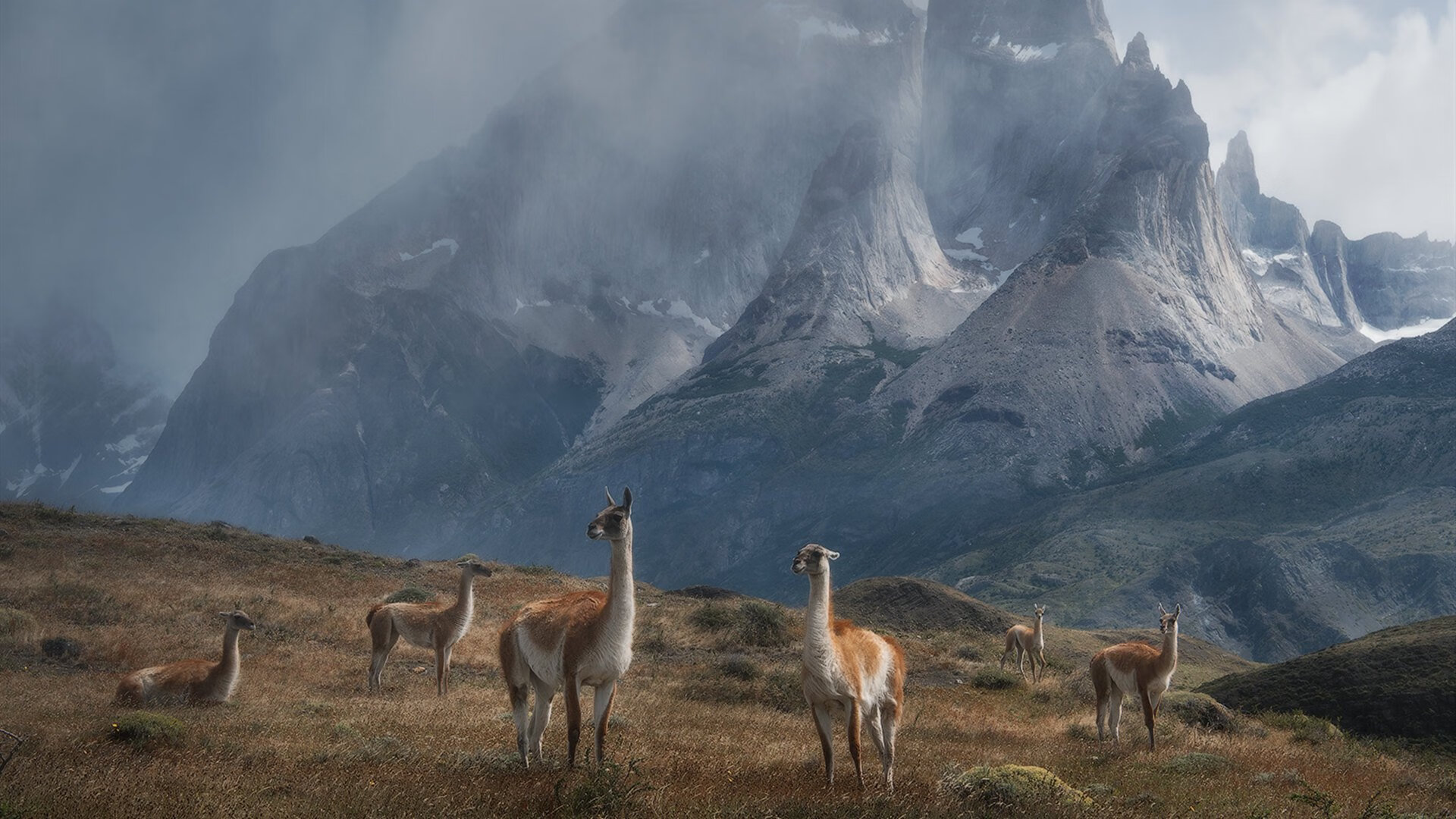 开云体育在线登入-中国女排新晋副攻发挥出色赢得掌声，中国女排新队员