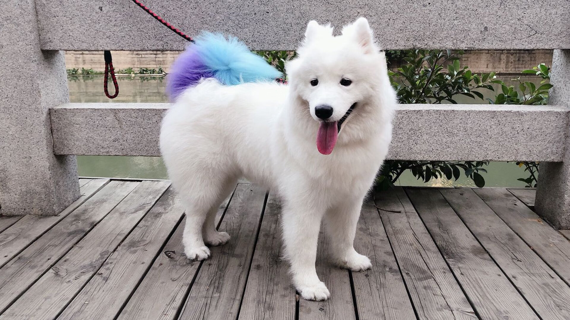 开云体育网站-法甲绝佳配合：团队默契，燃情全场！，法甲队伍排名